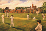 Cricket on the Field